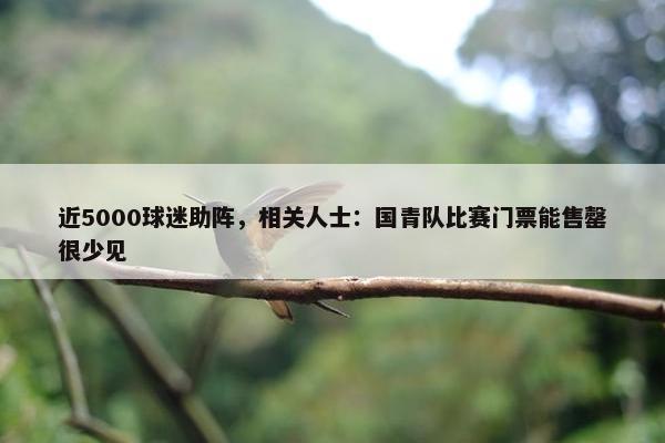 近5000球迷助阵，相关人士：国青队比赛门票能售罄很少见