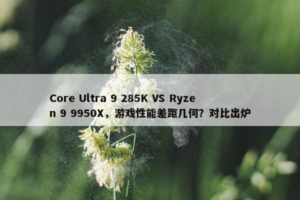 Core Ultra 9 285K VS Ryzen 9 9950X，游戏性能差距几何？对比出炉