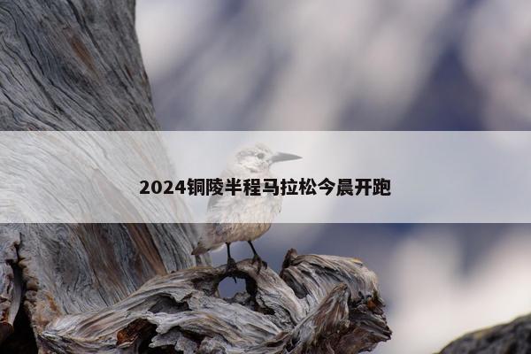 2024铜陵半程马拉松今晨开跑