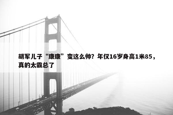 胡军儿子“康康”变这么帅？年仅16岁身高1米85，真的太霸总了