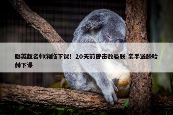 曝英超名帅濒临下课！20天前曾击败曼联 亲手送滕哈赫下课