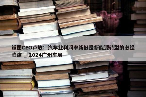 岚图CEO卢放：汽车业利润率新低是新能源转型的必经阵痛 _ 2024广州车展