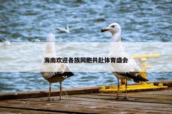 海南欢迎各族同胞共赴体育盛会