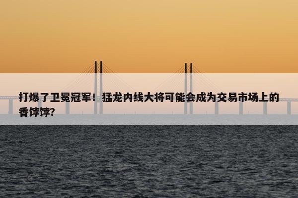 打爆了卫冕冠军！猛龙内线大将可能会成为交易市场上的香饽饽？