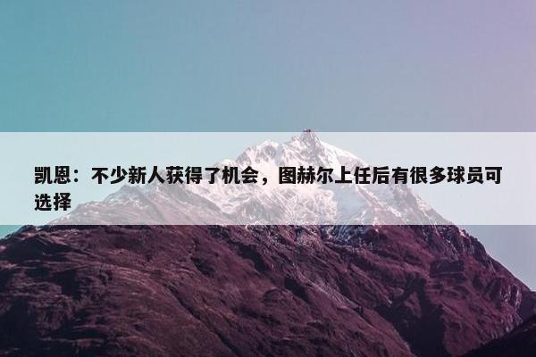 凯恩：不少新人获得了机会，图赫尔上任后有很多球员可选择