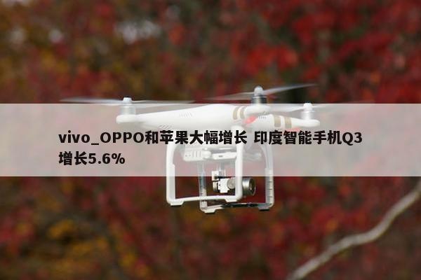 vivo_OPPO和苹果大幅增长 印度智能手机Q3增长5.6%