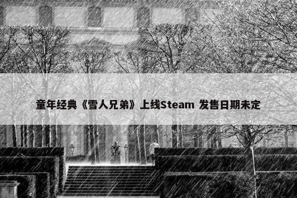 童年经典《雪人兄弟》上线Steam 发售日期未定