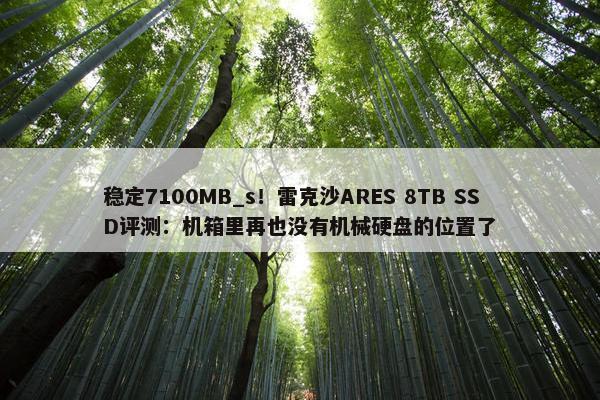 稳定7100MB_s！雷克沙ARES 8TB SSD评测：机箱里再也没有机械硬盘的位置了