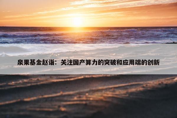 泉果基金赵诣：关注国产算力的突破和应用端的创新