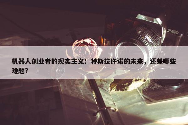 机器人创业者的现实主义：特斯拉许诺的未来，还差哪些难题？