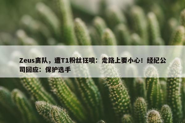 Zeus离队，遭T1粉丝狂喷：走路上要小心！经纪公司回应：保护选手