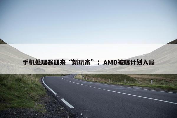 手机处理器迎来“新玩家”：AMD被曝计划入局