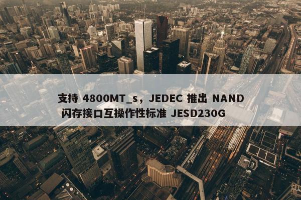 支持 4800MT_s，JEDEC 推出 NAND 闪存接口互操作性标准 JESD230G