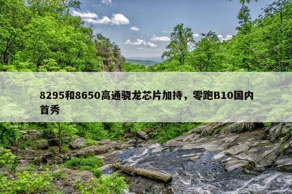 8295和8650高通骁龙芯片加持，零跑B10国内首秀