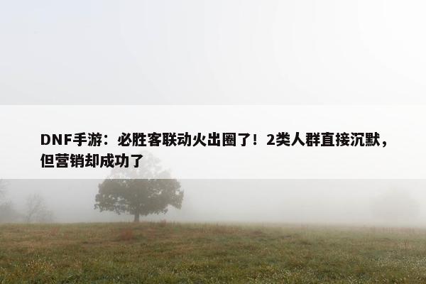 DNF手游：必胜客联动火出圈了！2类人群直接沉默，但营销却成功了