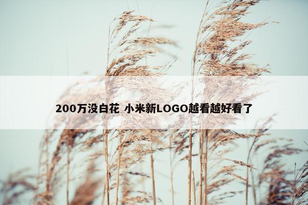 200万没白花 小米新LOGO越看越好看了