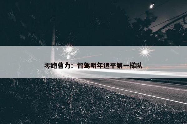 零跑曹力：智驾明年追平第一梯队