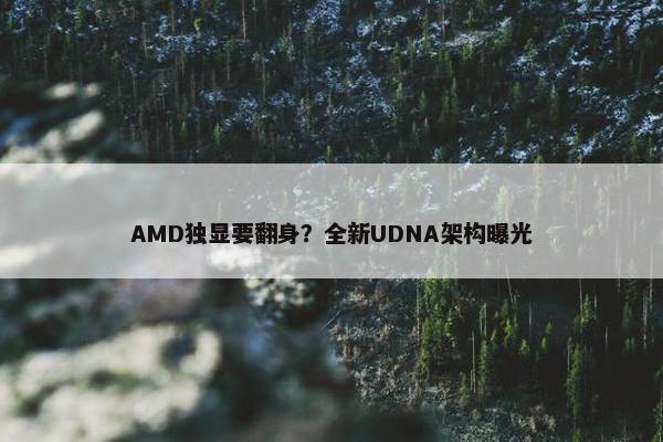 AMD独显要翻身？全新UDNA架构曝光