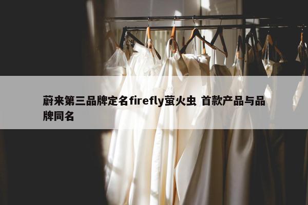 蔚来第三品牌定名firefly萤火虫 首款产品与品牌同名