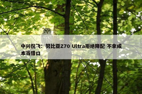 中兴倪飞：努比亚Z70 Ultra拒绝降配 不拿成本当借口