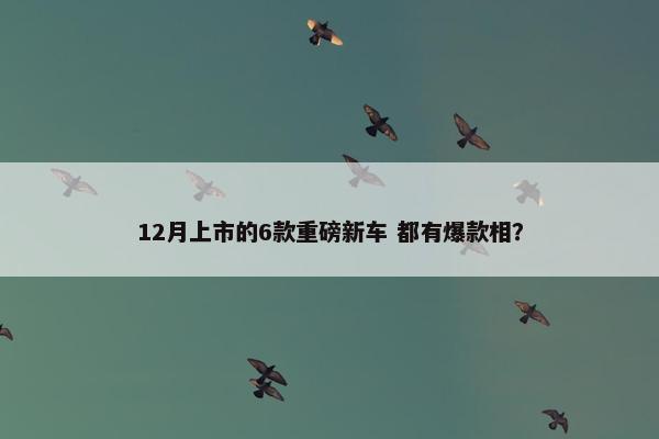 12月上市的6款重磅新车 都有爆款相？