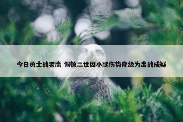 今日勇士战老鹰 佩顿二世因小腿伤势降级为出战成疑