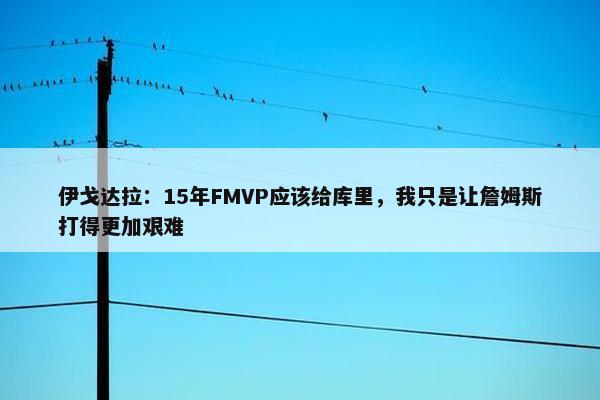 伊戈达拉：15年FMVP应该给库里，我只是让詹姆斯打得更加艰难