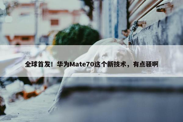 全球首发！华为Mate70这个新技术，有点骚啊