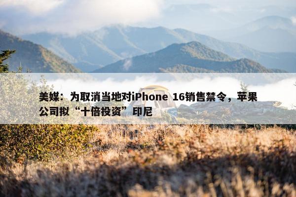 美媒：为取消当地对iPhone 16销售禁令，苹果公司拟“十倍投资”印尼