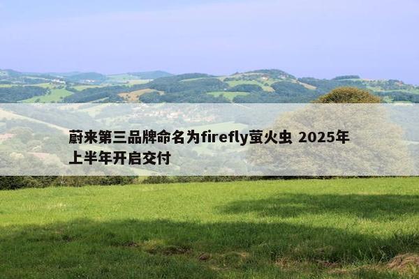 蔚来第三品牌命名为firefly萤火虫 2025年上半年开启交付