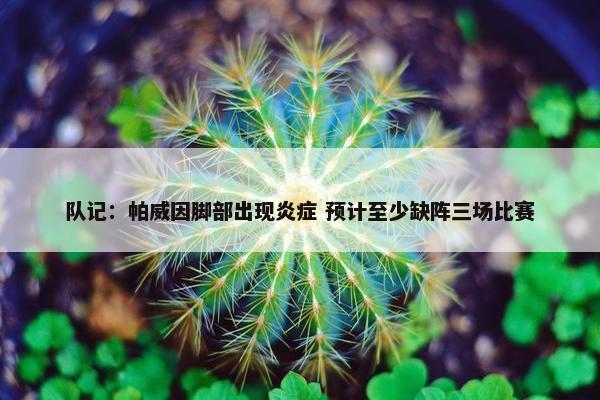 队记：帕威因脚部出现炎症 预计至少缺阵三场比赛