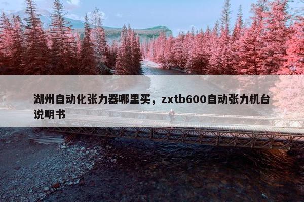 湖州自动化张力器哪里买，zxtb600自动张力机台说明书