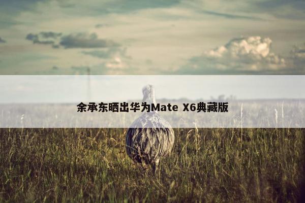 余承东晒出华为Mate X6典藏版