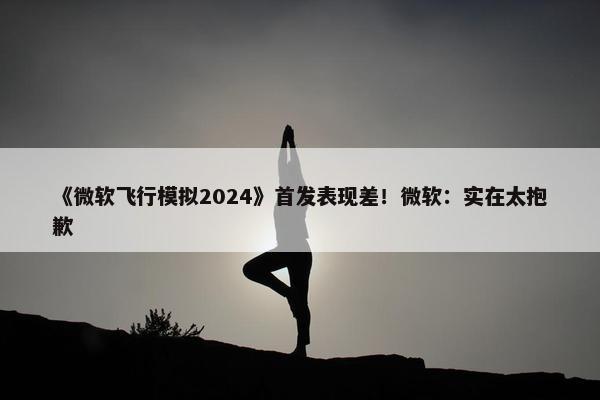 《微软飞行模拟2024》首发表现差！微软：实在太抱歉