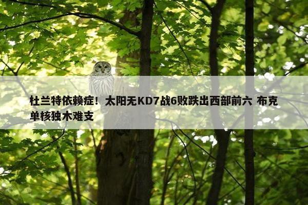 杜兰特依赖症！太阳无KD7战6败跌出西部前六 布克单核独木难支