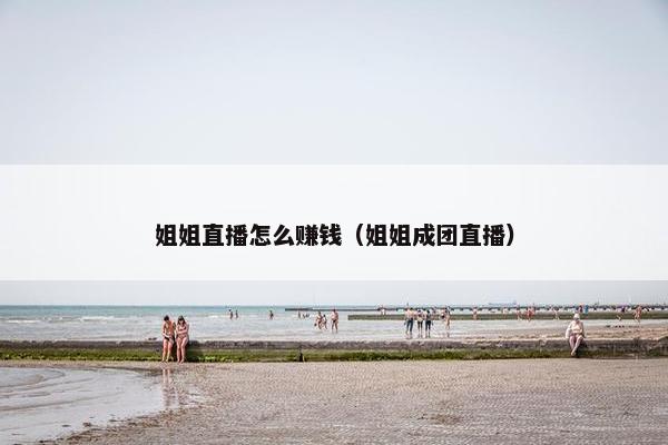 姐姐直播怎么赚钱（姐姐成团直播）