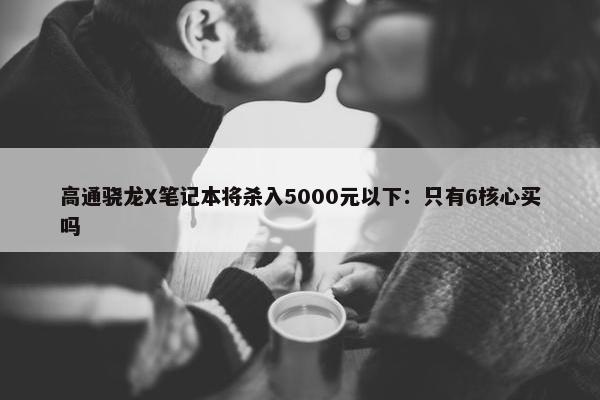 高通骁龙X笔记本将杀入5000元以下：只有6核心买吗