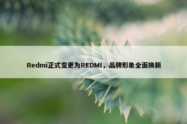 Redmi正式变更为REDMI，品牌形象全面换新