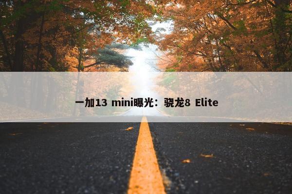 一加13 mini曝光：骁龙8 Elite