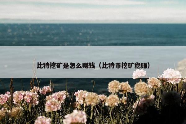 比特挖矿是怎么赚钱（比特币挖矿稳赚）