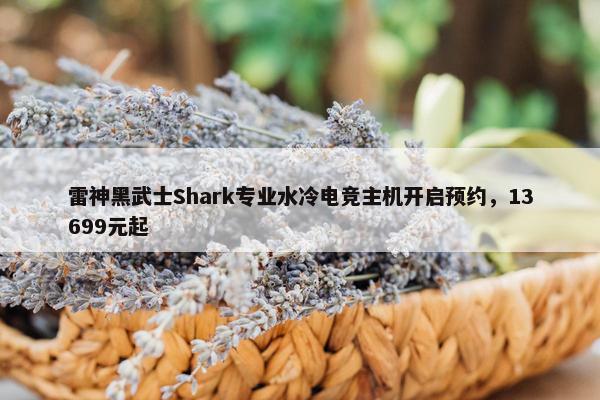 雷神黑武士Shark专业水冷电竞主机开启预约，13699元起