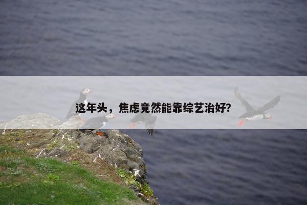 这年头，焦虑竟然能靠综艺治好？