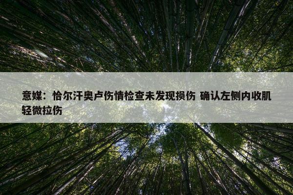 意媒：恰尔汗奥卢伤情检查未发现损伤 确认左侧内收肌轻微拉伤