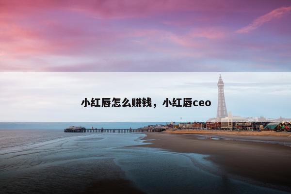 小红唇怎么赚钱，小红唇ceo