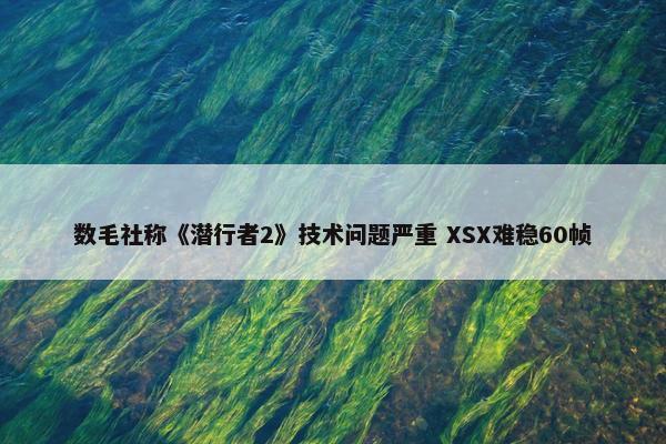 数毛社称《潜行者2》技术问题严重 XSX难稳60帧