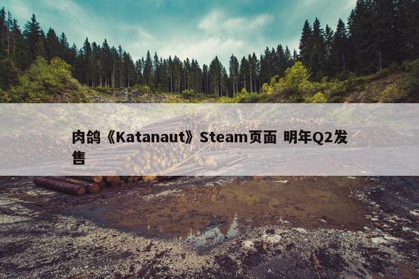 肉鸽《Katanaut》Steam页面 明年Q2发售