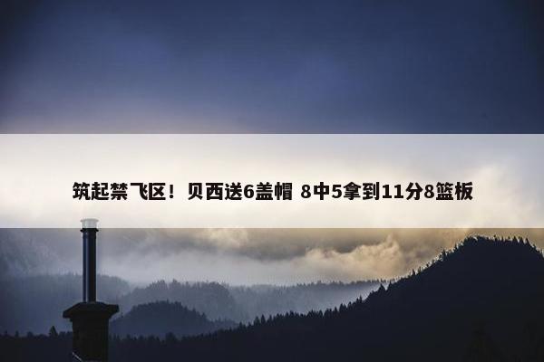 筑起禁飞区！贝西送6盖帽 8中5拿到11分8篮板