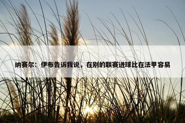 纳赛尔：伊布告诉我说，在别的联赛进球比在法甲容易