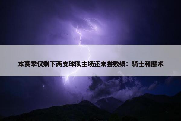 本赛季仅剩下两支球队主场还未尝败绩：骑士和魔术