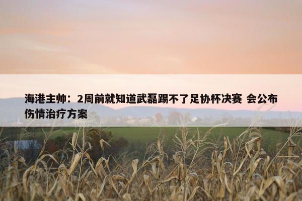 海港主帅：2周前就知道武磊踢不了足协杯决赛 会公布伤情治疗方案